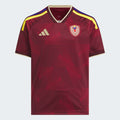 Venezuela 26 Home Jersey